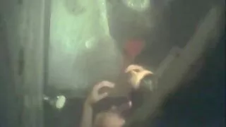 Per darbo valandas fuck įvyko gydytojo kabinete
