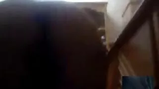 Hot steardardess surengė sekso su rider ir Tarnaitė