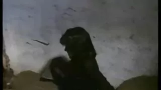 Du draugai aktyviai fuck Biseksualių moterų su savo tats