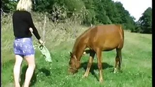 Viešoje vietoje susirinko dalyvauti Orgija